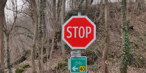 Beitragsbild des Blogbeitrags 1.3.23 - Schwechatbach