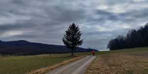 Beitragsbild des Blogbeitrags 22.2.23 - Gaaden-Reisetberg-Groisbach 