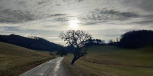 Beitragsbild des Blogbeitrags 17.2.23 - Steinfeld 