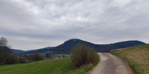 Beitragsbild des Blogbeitrags 7.4.23 - Untermeierhof-Schwechatbach 