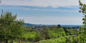 Beitragsbild des Blogbeitrags 1.5.23 - Römerberg-Doblhoffpark