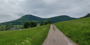 Beitragsbild des Blogbeitrags 19.5.23 - Untermeierhof-Sattelbach 