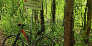 Beitragsbild des Blogbeitrags 20.5.23 - Römerberg