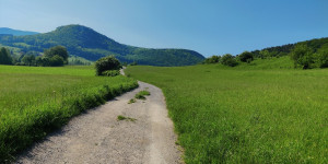 Beitragsbild des Blogbeitrags 21.5.23 - Schwechatbach