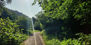 Beitragsbild des Blogbeitrags 27.5.23 - Römerberg