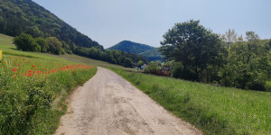 Beitragsbild des Blogbeitrags 29.5.23 - Groisbach