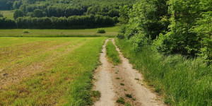 Beitragsbild des Blogbeitrags 31.5.23 - Groisbach