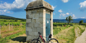 Beitragsbild des Blogbeitrags 15.6.23 - Vöslau-Untermeierhof