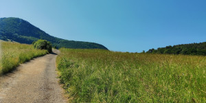 Beitragsbild des Blogbeitrags 18.6.23 - Untermeierhof
