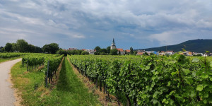 Beitragsbild des Blogbeitrags 3.7.23 - Römerberg