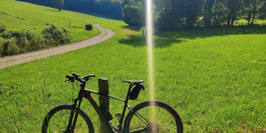 Beitragsbild des Blogbeitrags 10.7.23 - Schwarzensee-Hirtenberg-Helenental