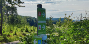 Beitragsbild des Blogbeitrags 12.7.23 - Füllenberg-Reisetberg