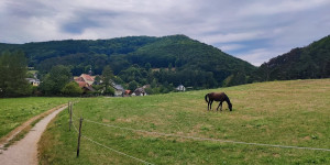 Beitragsbild des Blogbeitrags 21.7.23 - Raisenmarkt-Schwechatbach 