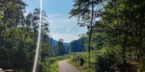 Beitragsbild des Blogbeitrags 19.8.23 - Augustinerhütte-Groisbach-Raisenmarkt