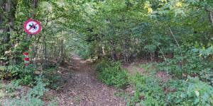 Beitragsbild des Blogbeitrags 25.8.23 - Gaaden-Sittendorf-Dornbach