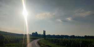 Beitragsbild des Blogbeitrags 26.8.23 - Helenental-Thallern-Strecke