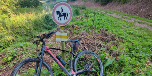 Beitragsbild des Blogbeitrags 31.8.23 - Dornbach-Sittendorf-Gaaden