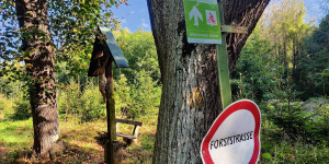Beitragsbild des Blogbeitrags 12.9.23 - Füllenberg-Reisetberg-Helenental