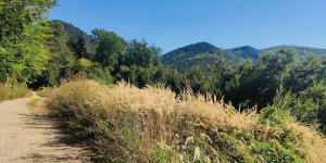 Beitragsbild des Blogbeitrags 20.9.23 - Helenental-Thallern-Strecke