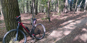 Beitragsbild des Blogbeitrags 2.10.23 - Gaaden-Siegenfeld-Groisbach