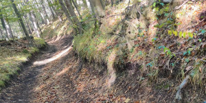 Beitragsbild des Blogbeitrags 11.10.23 - Jubiläumskreuz-Vöslauerhütte