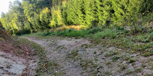 Beitragsbild des Blogbeitrags 13.10. 23 - Gaaden-Sittendorf-Dornbach