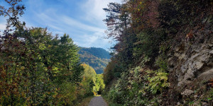 Beitragsbild des Blogbeitrags 21.10.23 - Urtelstein-Raisenmarkt