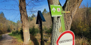 Beitragsbild des Blogbeitrags 16.11.23 - Dornbach