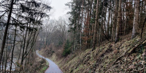 Beitragsbild des Blogbeitrags 31.12.23 - Schwechatbach 