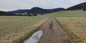 Beitragsbild des Blogbeitrags 2.1.24 - Untermeierhof-Schwechatbach 