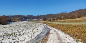 Beitragsbild des Blogbeitrags 11.1.24 - Raisenmarkt-Zobelhof 