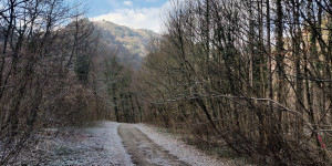 Beitragsbild des Blogbeitrags 31.1.24 - Baden-Doblhoffpark 