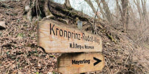 Beitragsbild des Blogbeitrags 28.2.24 - Untermeierhof-Schwechatbach