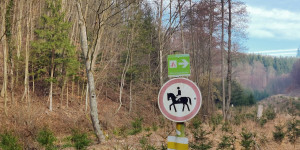 Beitragsbild des Blogbeitrags 10.2.24 - Dornbach
