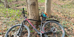 Beitragsbild des Blogbeitrags 5.3.24 - Untermeierhof-Schwechatbach