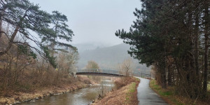 Beitragsbild des Blogbeitrags 8.3.24 - Krainerhüttensiedlung