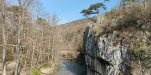 Beitragsbild des Blogbeitrags 18.3.24 - Doblhoffpark 