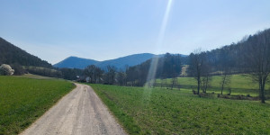 Beitragsbild des Blogbeitrags 19.3.23 - Groisbach 