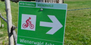 Beitragsbild des Blogbeitrags 23.3.24 - Sittendorf