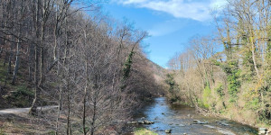 Beitragsbild des Blogbeitrags 27.3.24 - Baden-Doblhoffpark 