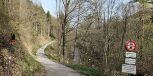 Beitragsbild des Blogbeitrags 31.3.24 - Sattelbach