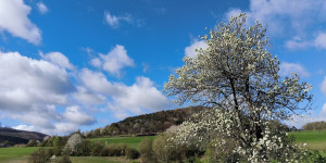 Beitragsbild des Blogbeitrags 2.4.24 - Untermeierhof-Schwechatbach