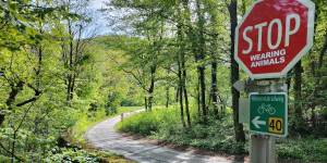Beitragsbild des Blogbeitrags 28.4.24 -Schwechatbach