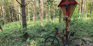 Beitragsbild des Blogbeitrags 5.5.24 - Reisetberg-Siegenfeld-Groisbach