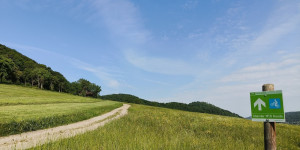 Beitragsbild des Blogbeitrags 12.5.24 - Untermeierhof 