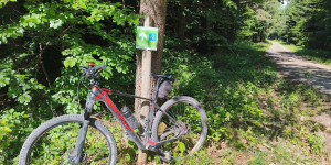 Beitragsbild des Blogbeitrags 14.5.24 - Reisetberg-Siegenfeld-Helenental