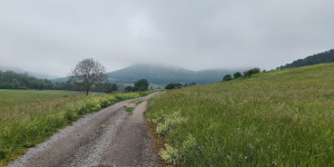 Beitragsbild des Blogbeitrags 21.5.24 - Untermeierhof-Sattelbach