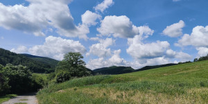 Beitragsbild des Blogbeitrags 23.5.24 - Doblhoffpark-Untermeierhof 