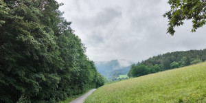 Beitragsbild des Blogbeitrags 26.5.24 - Sattelbach