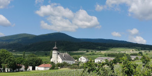 Beitragsbild des Blogbeitrags 5.6.24 - Rund um den Anninger